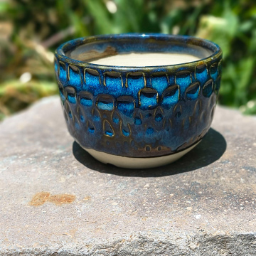 🌊Blue Lagoon Mini Planter  