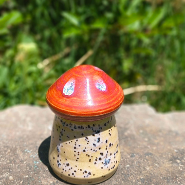 🍄 Mosscap Keepsake Jar