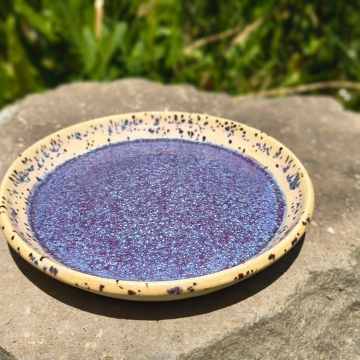 🌌 “Twilight Pool” Saucer
