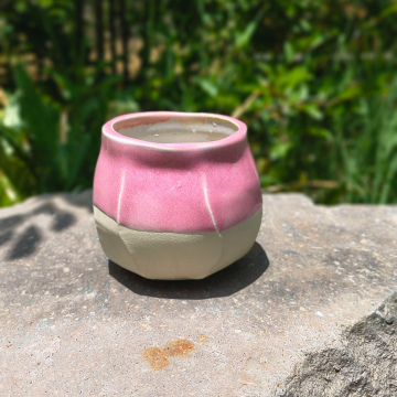 🌸 Blush Prism Tumbler